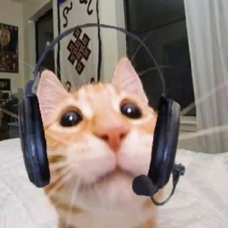 so cute telegram stickers