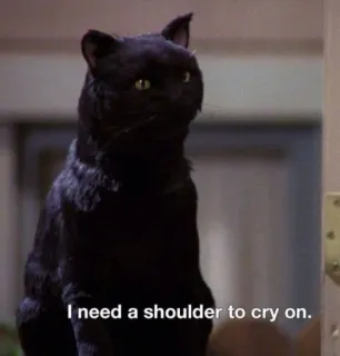 Cat’ cats whatsapp stickers