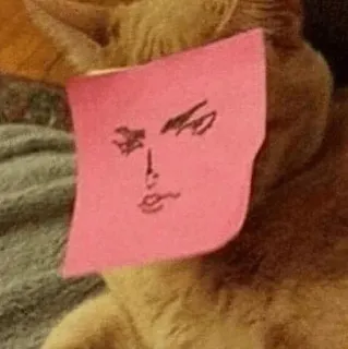 Cat’ cats telegram stickers