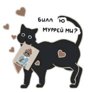 ❤️ 103fc20b Билл ю МУРРЕЙ ми? gatto, cuori, russo, Bill Murray whatsapp sticker