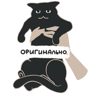 😐 19517b6b ОРИГИНАЛЬНО. gatto, mani, originale, divertente, sticker whatsapp sticker