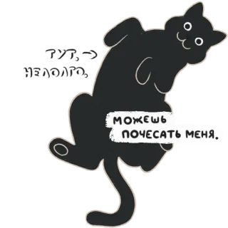 ☺️ 733b04aa ГУТ. -> НЕДОЛГО. МОЖЕШЬ ПОЧЕСАТЬ МЕНЯ. gatto, russo, animale domestico, animale, carino, pancia, graffio whatsapp sticker