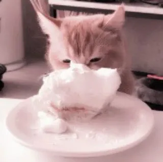 🐈 07d89546 猫, ケーキ, 食べ物, 動物, ペット, デザート telegram sticker