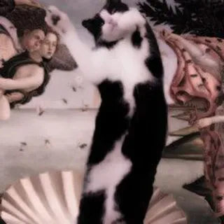 @stickerdirkje - 𝗰𝗮𝘁𝘀 𝟐 ۫ telegram stickers