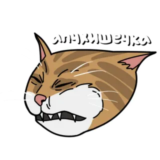 🤧 11609b31 Апухлишенко cat, animal, angry, cartoon, face whatsapp sticker