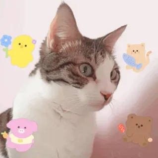 😻 14e140ab kucing, hewan, stiker, imut, hewan peliharaan, mamalia whatsapp sticker