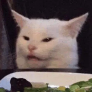 😒 1890894e kucing, meme, lucu, binatang, kucing putih, jijik, smudge the cat whatsapp sticker