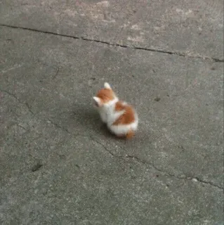 🐈 8fe7b5c2 anak kucing, kucing, imut, binatang, hewan peliharaan whatsapp sticker