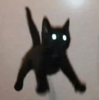 🙀 92da5ef6 kucing, hewan, anak kucing, kucing hitam, lucu whatsapp sticker