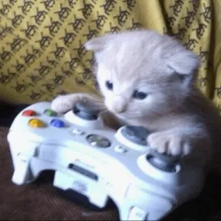🎮 bdcca4f5 anak kucing, kucing, gaming, controller xbox, hewan peliharaan, binatang, lucu whatsapp sticker