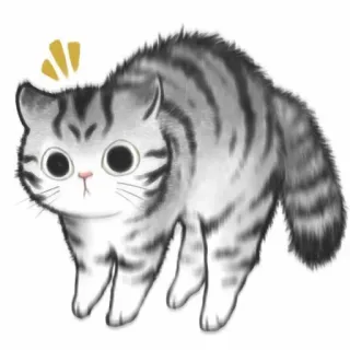 🐱 4c602d82 kot, przestraszony, zwierzę, słodki, naklejka, koci telegram sticker