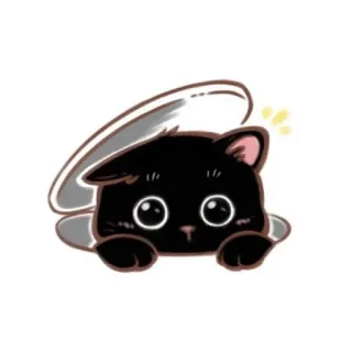 🐱 8eb88523 kot, słodki, kawaii, zwierzę telegram sticker