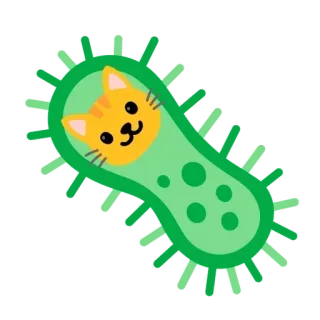 ۩ › ۞ ۝ ⟨ Cats 2 ⟩ ۝ ۞ ‹ ۩ ⟨⟨ @HanchJoy telegram stickers