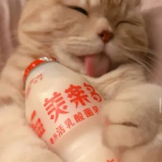 😺 b76c2fc3 kot, Yakult, napój, uroczy, zwierzę telegram sticker