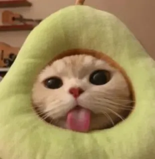 😻♡Cats Cute♡😻 telegram stickers