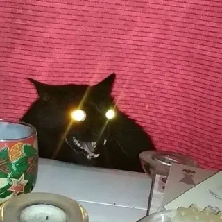 👀 57a66699 gatto, gatto nero, animale, animale domestico, felino, animale da compagnia telegram sticker