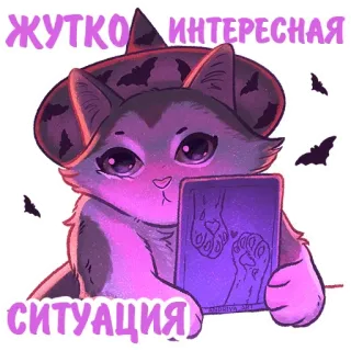 🧙‍♂ c3729382 ЖУТКО ИНТЕРЕСНАЯ СИТУАЦИЯ kucing, penyihir, Halloween, lucu, kelelawar, stiker, topi penyihir, lucu telegram sticker