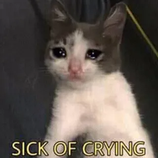 😢 224196b8 SICK OF CRYING кот, плачет, грустный, животное, мем telegram sticker