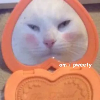 💖 31828e6a am i pweety кот, милый, макияж, животное, мем telegram sticker