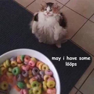 🍬 52b552f7 may I have some lööps кот, хлопья, петли, мем, еда telegram sticker