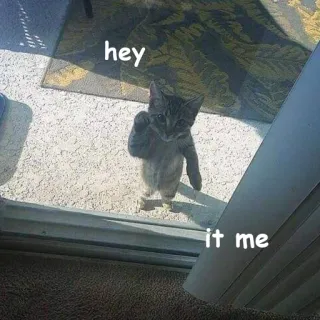 👋 928c09e1 hey
it me кот, котенок, дверь, животное, милый, питомец telegram sticker