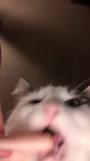 😲 0f19e8be telegram sticker