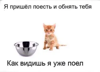 💓 5f8e78b0 Я пришёл поесть и обнять тебя
Как видишь я уже поел gato, gatito, comida, cuenco, mascota, lindo, animal telegram sticker