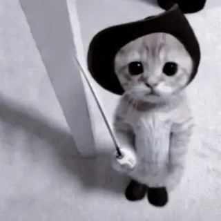 🐈‍⬛ abd68c0a кот, милый, животное, меч, шляпа telegram sticker