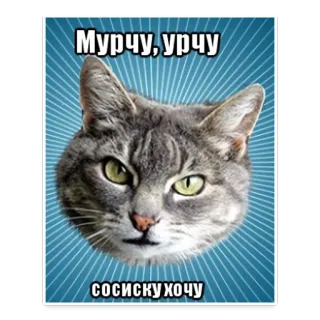 😙 03206405 Мурчу, урчу
сосискухочу 猫, 表情包, 搞笑, 动物, 俄语, 文字, 宠物 telegram sticker