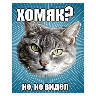 😋 8fdbb7b7 ХОМЯК?
не, не видел 猫, 表情包, 俄语, 幽默, 动物, 宠物 telegram sticker
