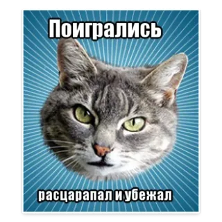 😐 96ae0855 Поигрались
расцарапал и убежал 猫, 表情包, 动物, 幽默, 好玩, 抓, 逃跑 telegram sticker