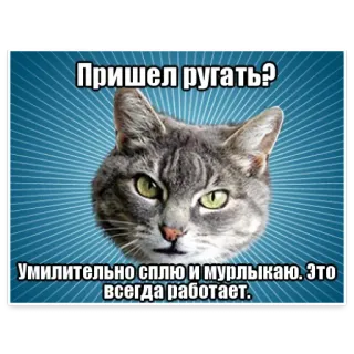 😠 9d5036a1 ПРИШЕЛ РУГАТЬ?
Умилительно сплю и мурлыкаю. Это всегда работает. 猫, 俄语, 梗, 搞笑, 可爱, 动物 telegram sticker