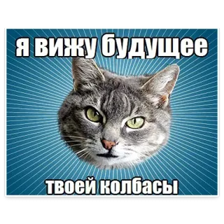😛 b4544cc6 Я вижу будущее твоей колбасы 猫, 未来, 香肠, 表情包, 俄语, 动物 telegram sticker