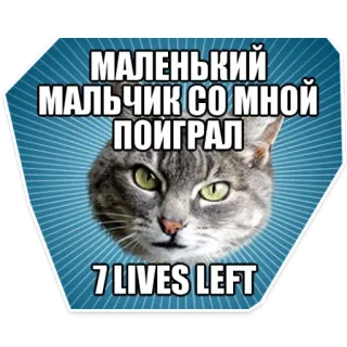 😋 b84b3735 МАЛЕНЬКИЙ
МАЛЬЧИК СО МНОЙ
ПОИГРАЛ
7 LIVES LEFT 猫, 俄语, 梗, 幽默 telegram sticker
