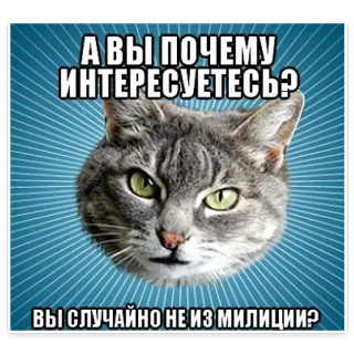 😅 de1c7c40 А ВЫ ПОЧЕМУ ИНТЕРЕСУЕТЕСЬ?
ВЫ СЛУЧАЙНО НЕ ИЗ МИЛИЦИИ? 猫, 表情包, 俄罗斯, 问题,  милиция(俄语) telegram sticker