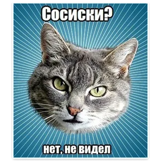 😱 e2bd29c8 Сосиски?
Нет, не видел 猫, 香肠, 问题, 动物, 宠物, 搞笑, 梗 telegram sticker