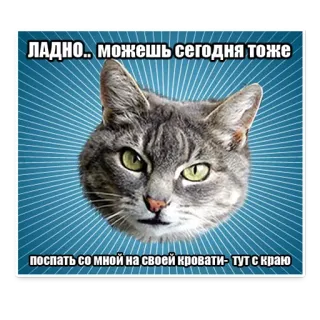 😌 f117a932 ЛАДНО.. МОЖЕШ СЕГОДНЯ ТОЖЕ
поспать со мной на своей кровати - тут с краю 猫, 梗, 搞笑, 动物, 文字, 俄语 telegram sticker