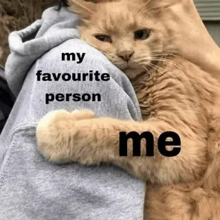 ⚡️ 30a488fe my favourite person
me 고양이, 포옹, 애완동물, 동물, 사랑, 좋아하는, 사람 telegram sticker