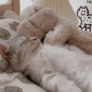 😴 51b670f3 @FIX_X_FOX кот, спящий, подушка, милый, животное telegram sticker