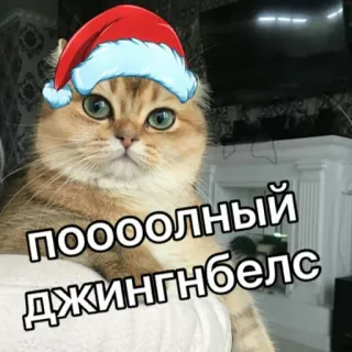 👍 393fa696 ПООООЛНЫЙ ДЖИНГЛБЕЛС Katze, Weihnachten, Weihnachtsmütze, Russischer Text telegram sticker
