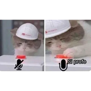 🎙 8048d242 Si profe แมว, ปิดเสียง, อินเทอร์เน็ต, ปุ่ม, ลูกแมว whatsapp sticker