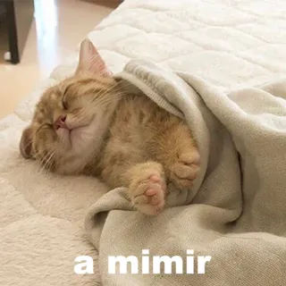 🛌 8ee23342 a mimir แมว, ง่วง, น่ารัก, ผ้าห่ม whatsapp sticker
