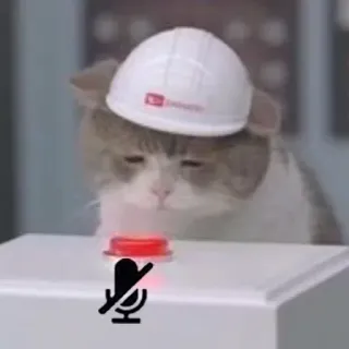 cats telegram stickers