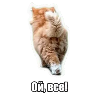 😕 5f4d5744 Ой, все! chat, drôle, russe, doux, autocollant whatsapp sticker