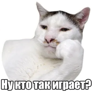 🤨 cd9324df Ну кто так играет? chat, pensée, question, russe whatsapp sticker