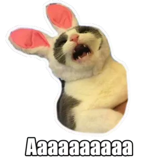 😵 f3bd8f79 Aaaaaaaaaa chat, lapin, criant, mème, animal, drôle, mignon whatsapp sticker