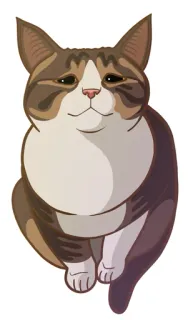 🙏 4517d881 chat, animal, animal de compagnie, domestique, félin, dessin animé, autocollant telegram sticker