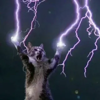 🐈 29368853 kucing, petir, binatang, kekuatan, magi telegram sticker