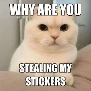 🐈 2b1190f1 WHY ARE YOU STEALING MY STICKERS kucing, stiker, meme, lucu, pertanyaan telegram sticker