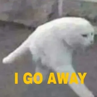 🐈 67c651d8 I GO AWAY kucing, meme, teks, lucu, binatang, kucing putih telegram sticker